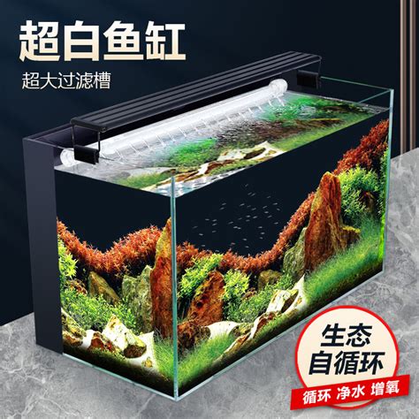 金魚缸換水 中間房子風水